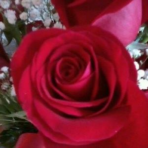 Meet your Posher, Marie